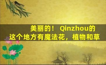 美丽的！ Qinzhou的这个地方有魔法花，植物和草